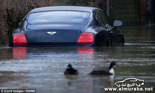 غرق سيارة بنتلي كونتيننتال جي تي الجديدة في "بريطانيا" بعد فوز صاحبها بمسابقة "اليانصيب" بالصور 22