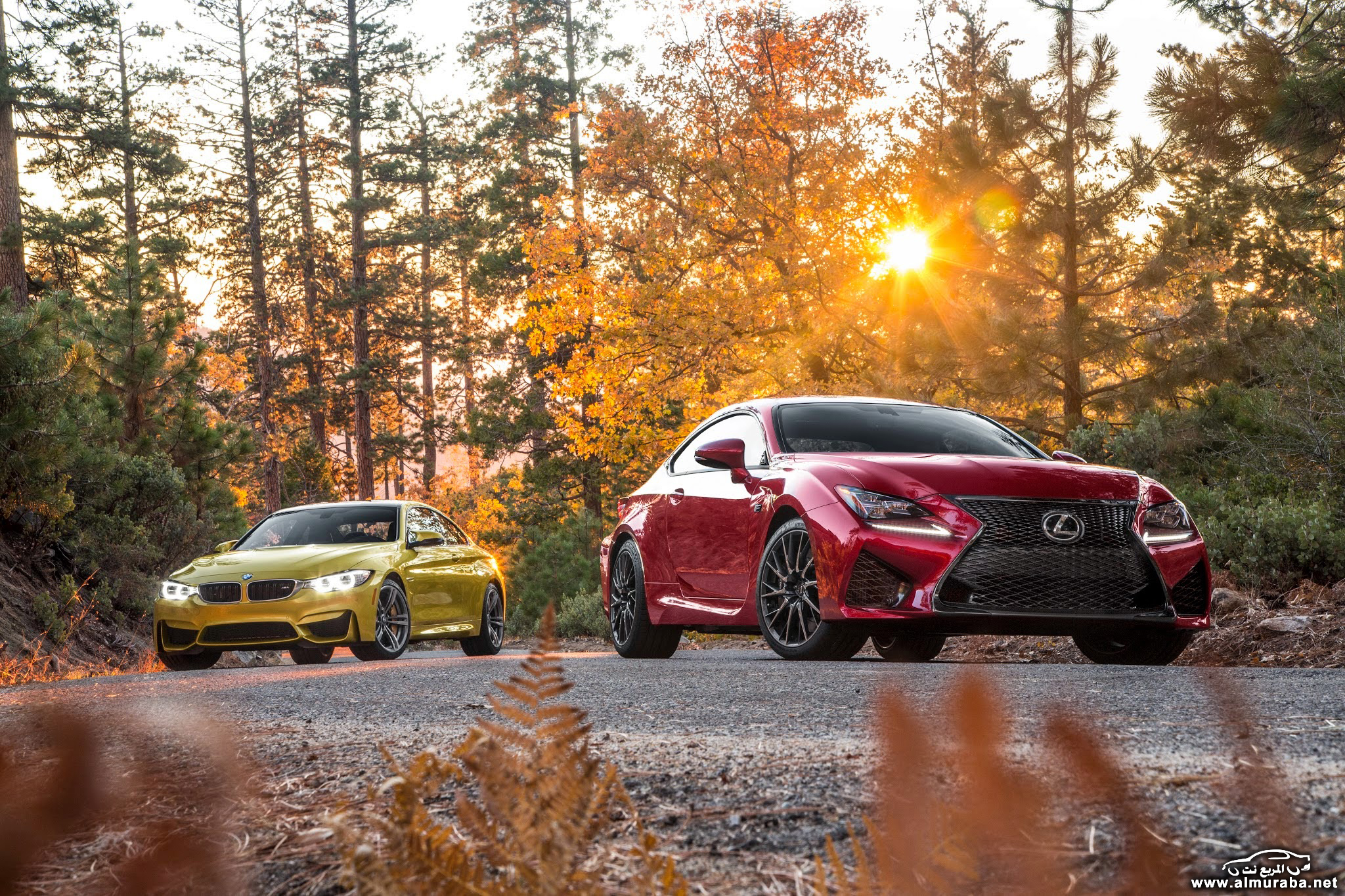 2015-bmw-m4-lexus-rc-f-promo