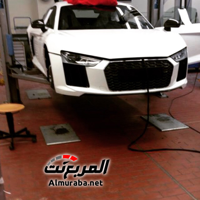 possible-new-r8-2