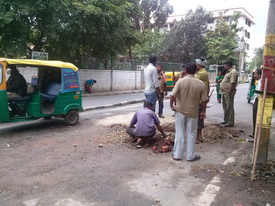 crocodile-bengaluru-pothole-bangalore (1)