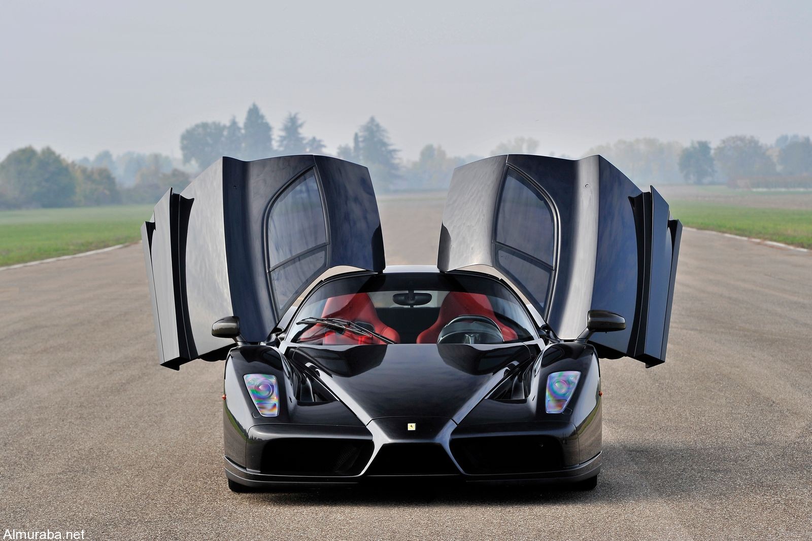 Enzo auction10