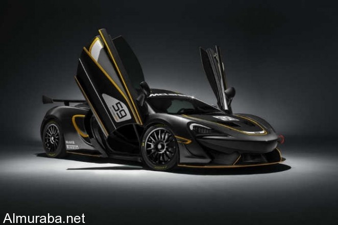 mclaren-570s-gt4-2-1000x667-w700