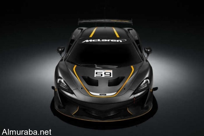 mclaren-570s-gt4-5-1000x667-w700