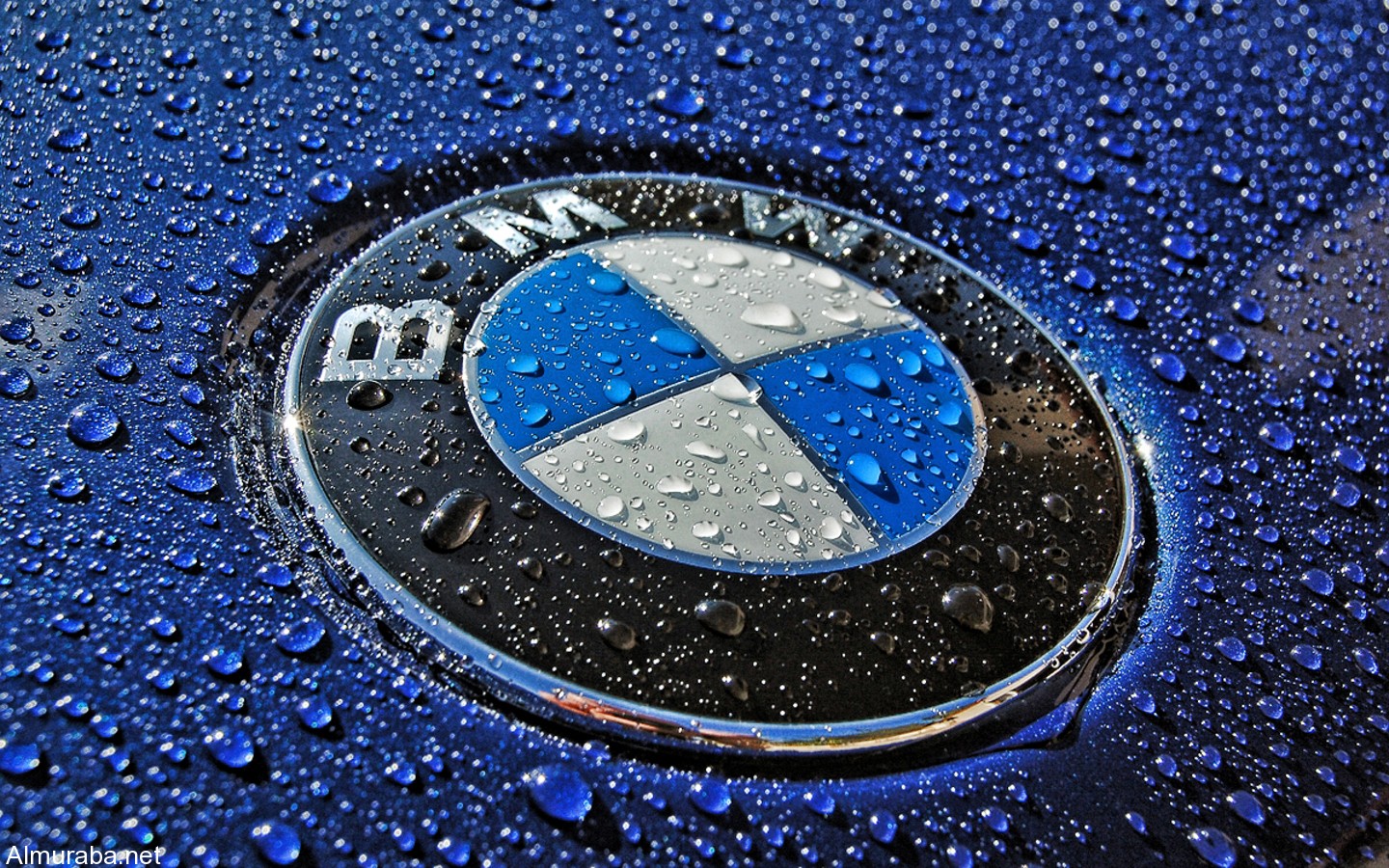 Car-BMW-Logo-Blue-Fresh-Wallpaper-Brands-674848