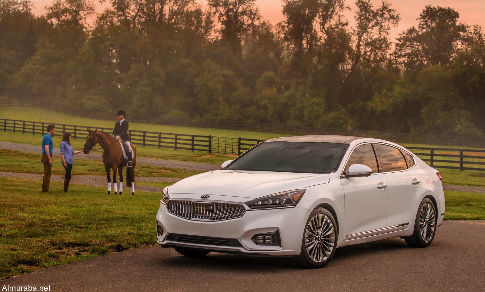 2017 Cadenza SXL