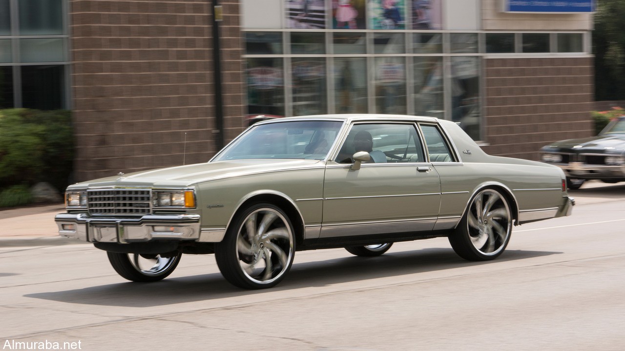 cars-from-the-2016-woodward-dream-cruise (13)