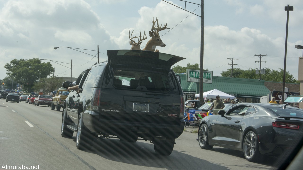 cars-from-the-2016-woodward-dream-cruise (4)