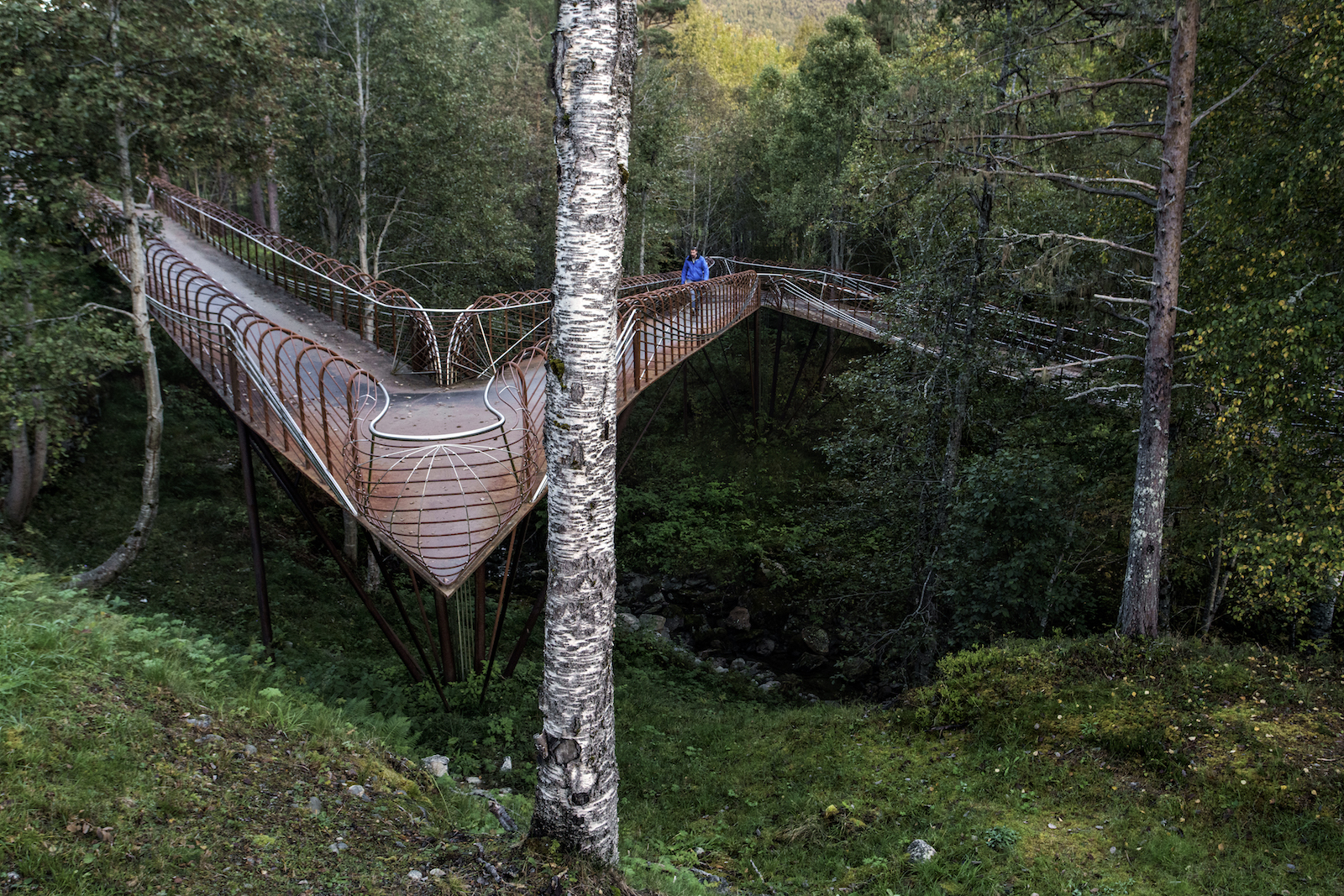 NORWAY. 2016. Pedestrian walkway through the woods by the Gudbrandsjuvet gorge.