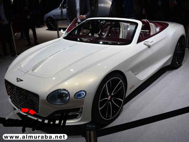 "بنتلي" ربما تتخلى عن كونها علامة تجارية بريطانية Bentley 4