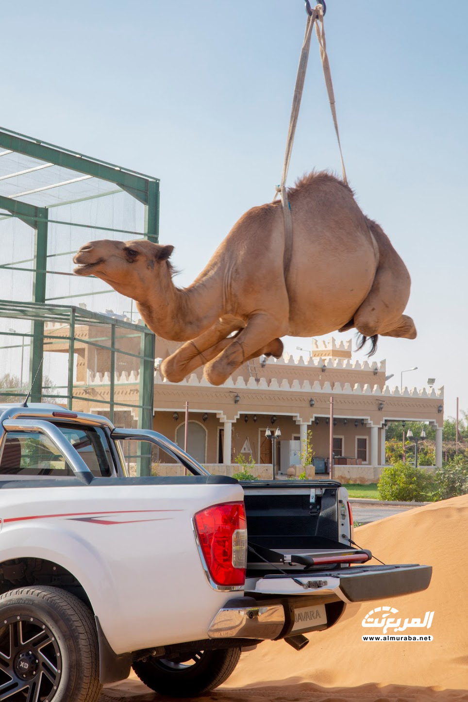 نيسان نافارا الجديدة جربنا نحمل عليها ناقة + الوزن والمواصفات والاسعار 9