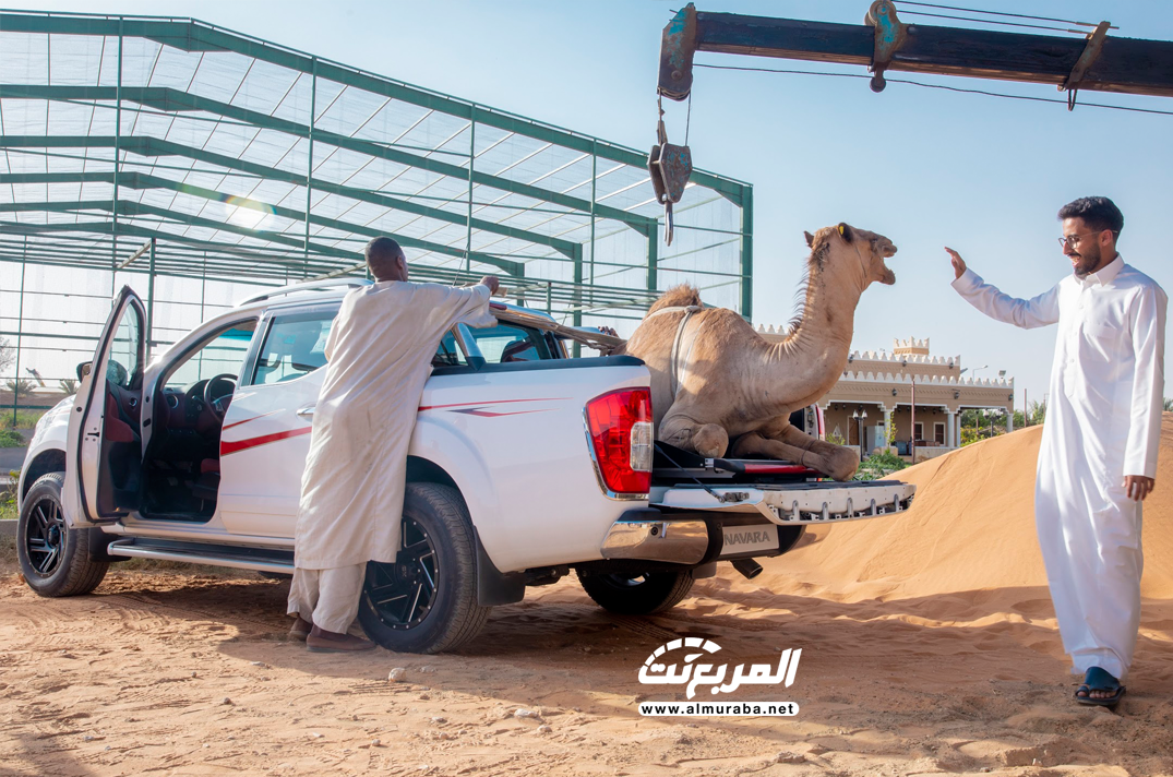 نيسان نافارا الجديدة جربنا نحمل عليها ناقة + الوزن والمواصفات والاسعار 5