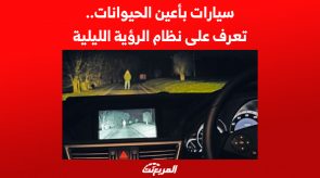 تعرف على نظام الرؤية الليلية.. سيارات بأعين الحيوانات 3