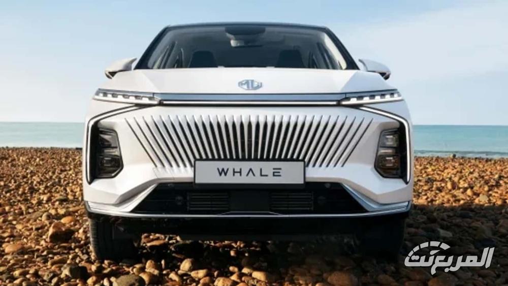 ام جي Whale Luxury 2024