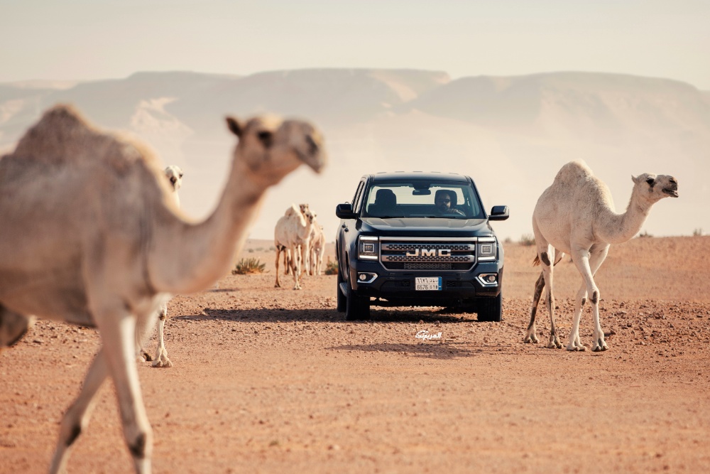 جاي ام سي جراند افينيو 4X4 AT 2024