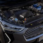 هافال-جوليان-المربع-نت-50-3